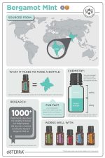 Aceite esencial de menta bergamota (menta) doTERRA (15 ml) - Imagen 5