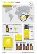 Aceite Esencial de Citronela doTERRA (15 ml) - Imagen 4