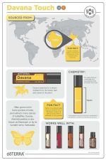 Aceite esencial de menta bergamota (menta) doTERRA (15 ml) - Imagen 4