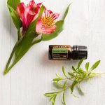 Aceite esencial doTERRA Ajedrea de verano (5 ml)