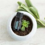 doTERRA Black Pepper (Pimienta Negra) Aceite Esencial (5ml)