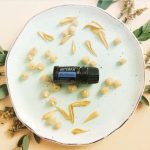 doTERRA Blue Tansy (Tanaceto Azul) Aceite Esencial (5ml)