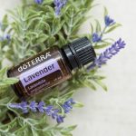 doTERRA Lavender (Lavanda) Aceite Esencial (15ml)