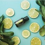 doTERRA Lime (Lima) Aceite Esencial (15ml)