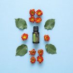 doTERRA Rosemary (Romero) Aceite Esencial (15ml)