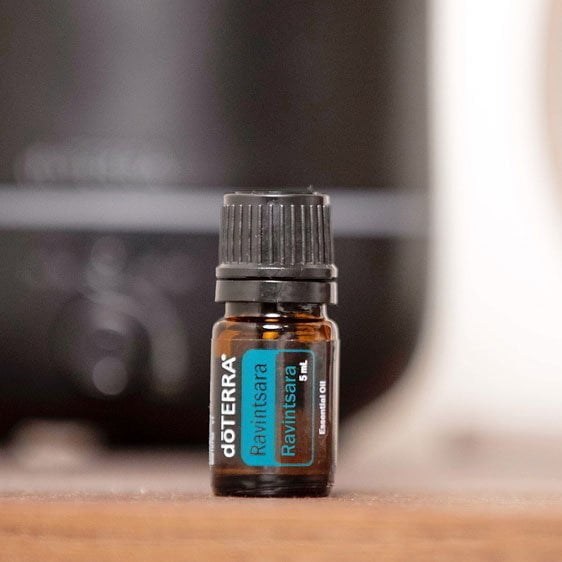 doTERRA-Ravintsara-Esssential-Oil-product-5ml doTERRA Ravintsara Aceite Esencial (5ml) - Imagen 1