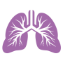 lungs